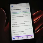 Gosuslugi website, Russia