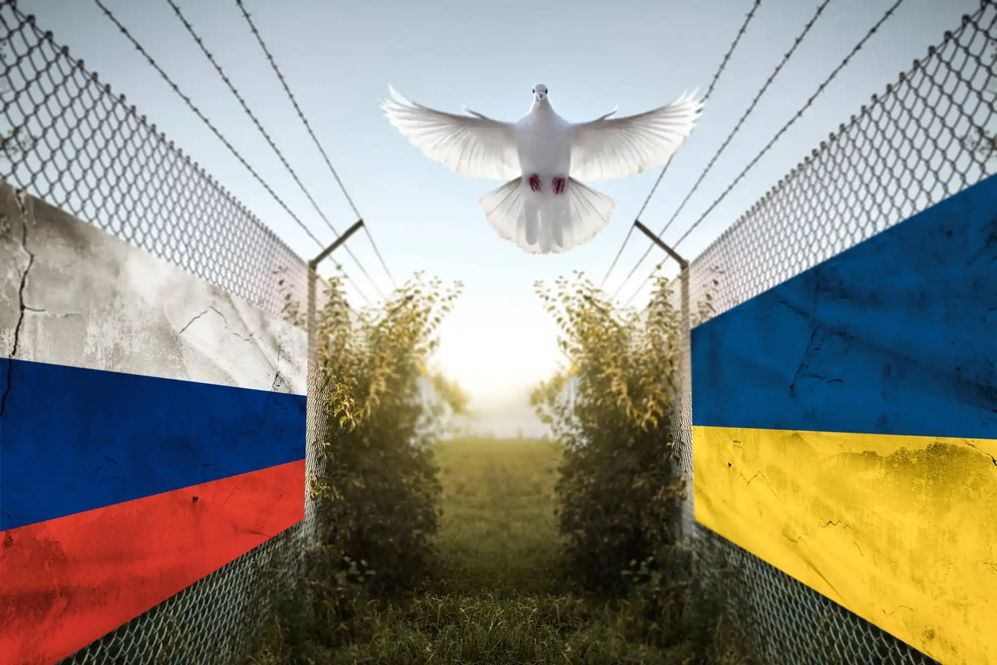 Символическое изображение мира после конфликта