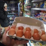 Яйца в России