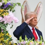 Дональд Трамп с ушками зайца