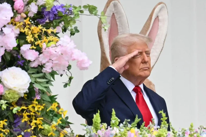 Дональд Трамп с ушками зайца