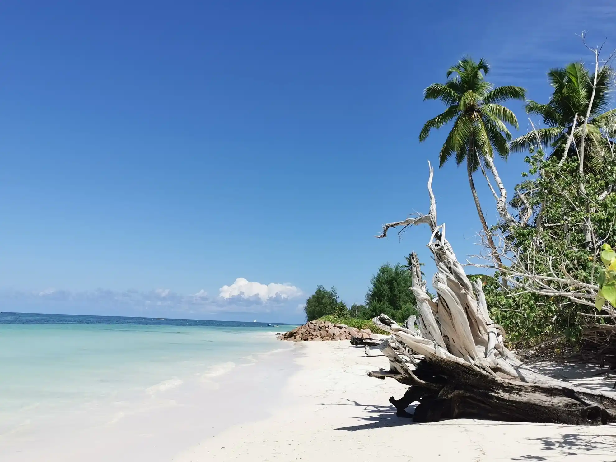 Сейшельские острова