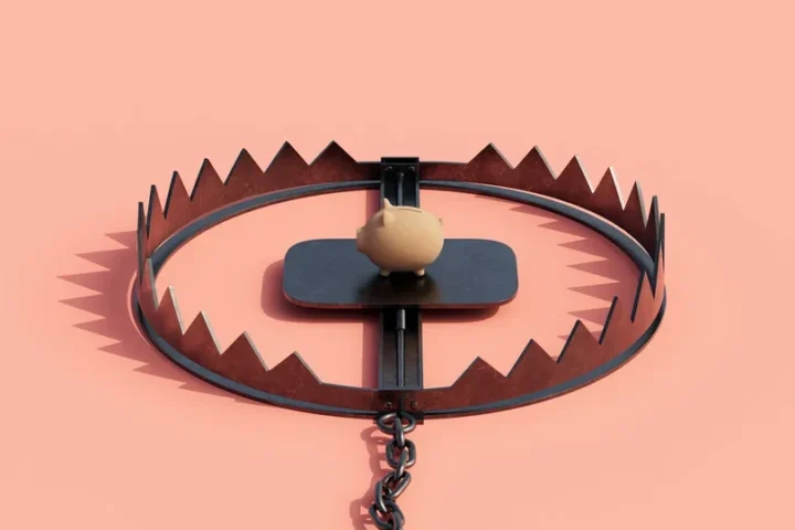 свинка в капкане