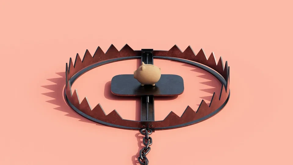 свинка в капкане