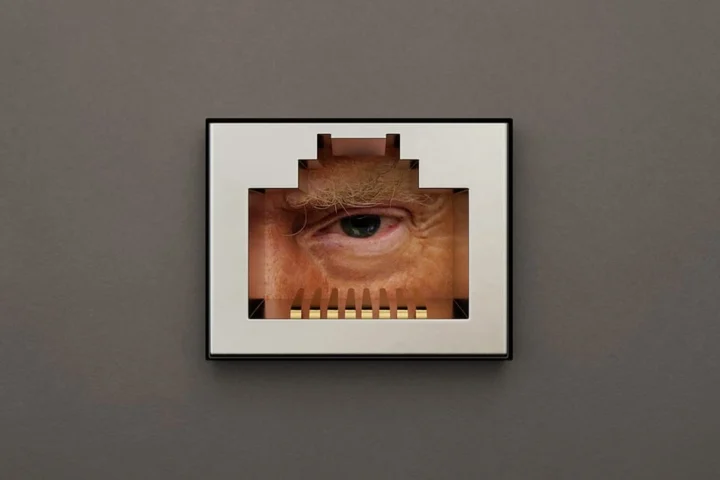 Трамп подглядывает