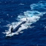 American nuclear submarine