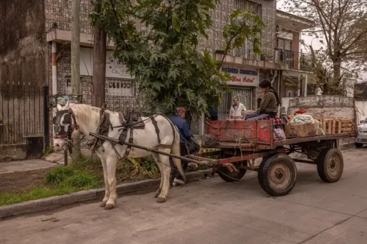 Конная повозка