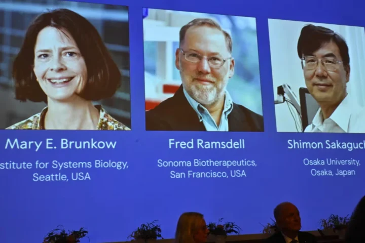 Нобелевская премия