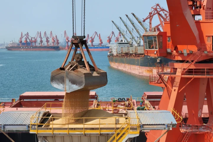 Соевые бобы разгрузка