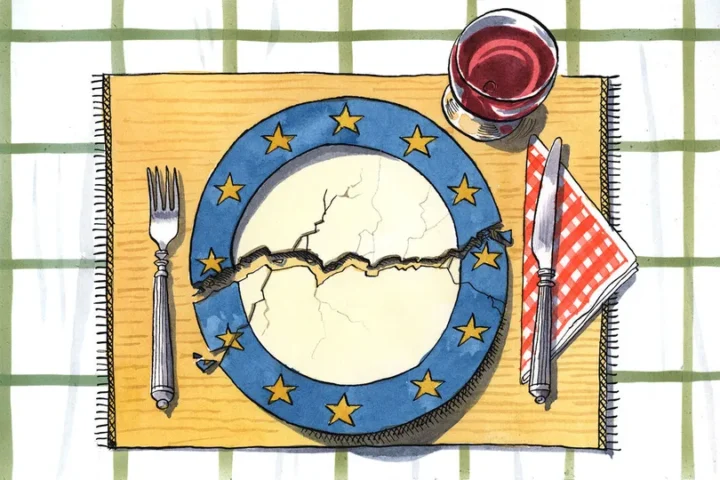 тарелка пополам