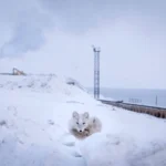 снег